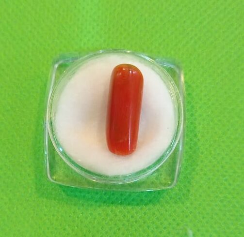 Natural Coral(Marjaan)