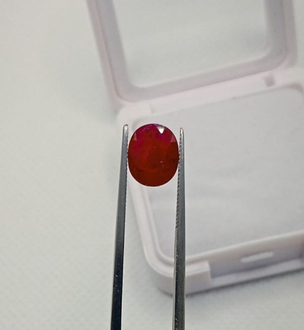 Natural Mozambique Ruby