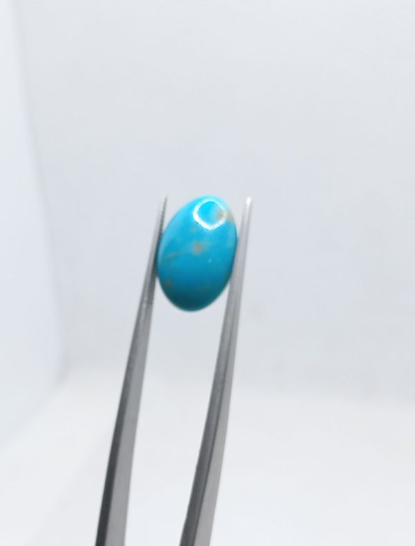 Natural Turquoise (Feroza)