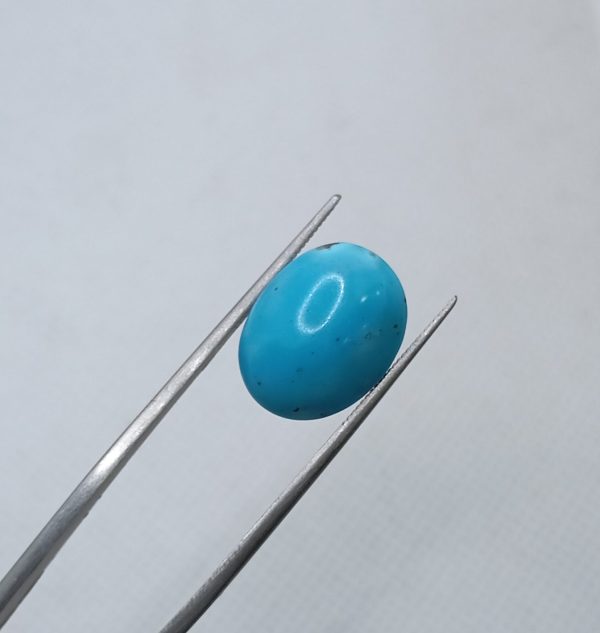 Natural Turquoise (Feroza)