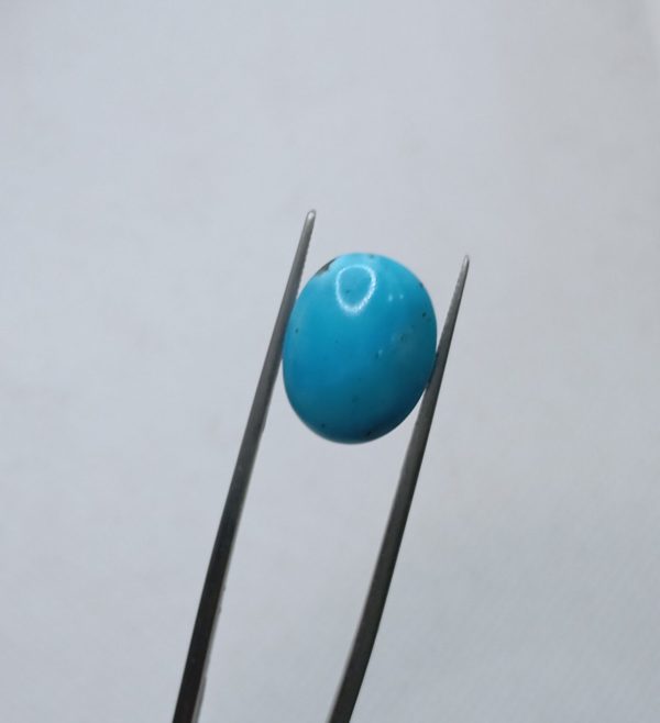 Natural Turquoise (Feroza)