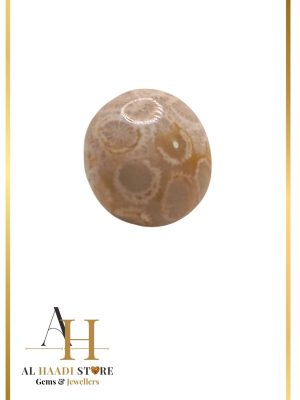 Natural Fossil Agate