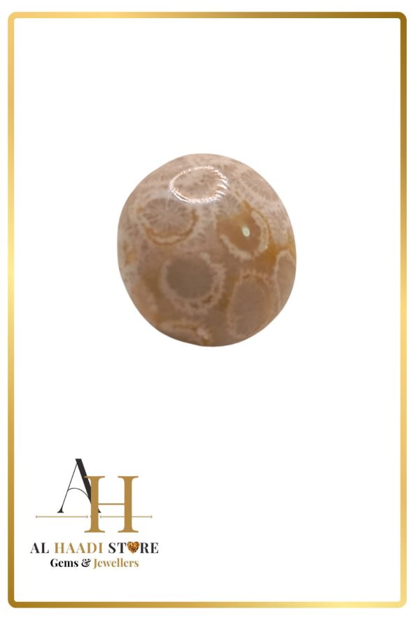 Natural Fossil Agate